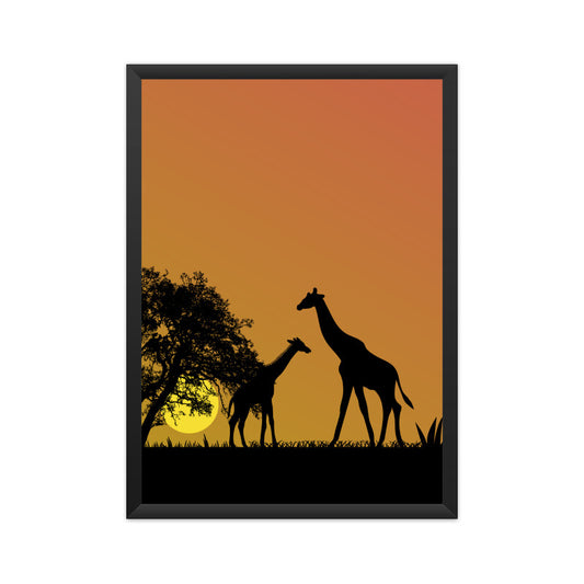 Giraffes in the Open Wall Art Poster