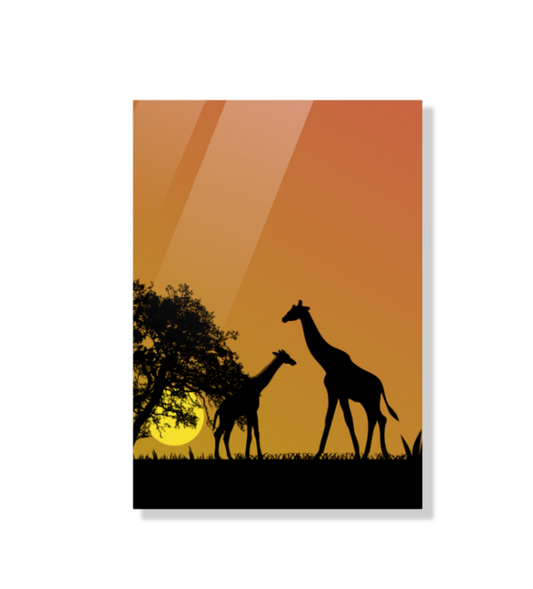 Giraffes in the Open Acrylic Wall Photo